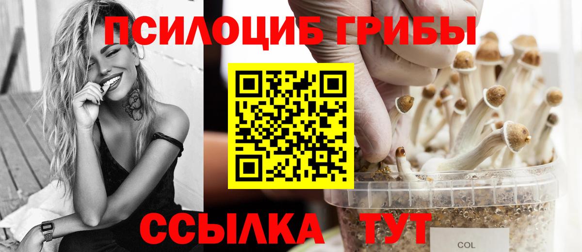 Алейск  Галлюциногенные грибы GOLDEN TEACHER  Псилоцибиновые грибы Psilocybe  Вход с VPN 